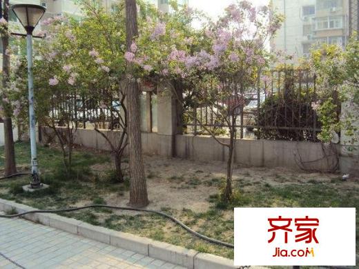 欧园北欧印象外景图