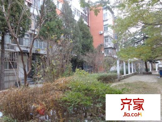 枣营南里外景图