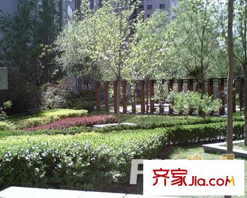 富力城D区配套图外景图