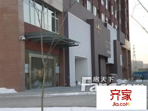 东方郁金香外景图