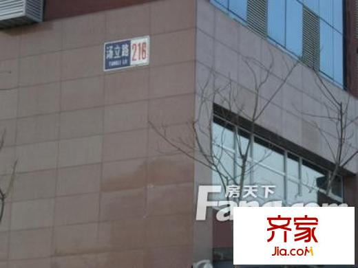 东方郁金香外景图