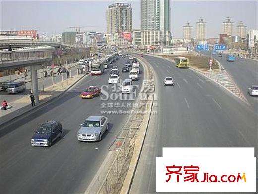 东方郁金香配套图周边外景图