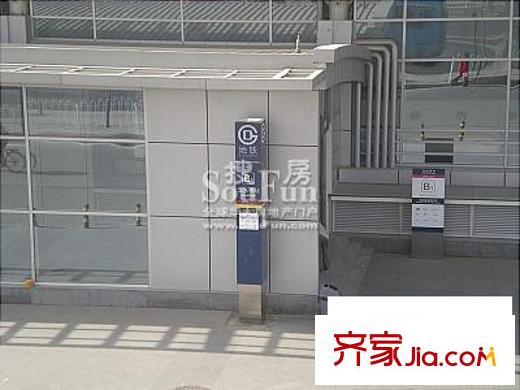 东方郁金香配套图周边外景图