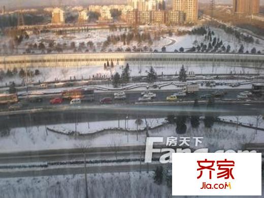 东方郁金香外景图