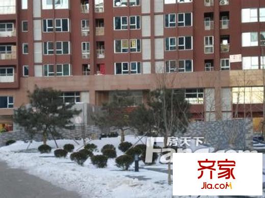 东方郁金香外景图
