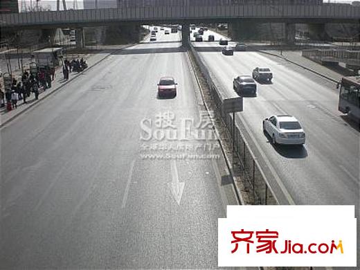东方郁金香配套图周边外景图