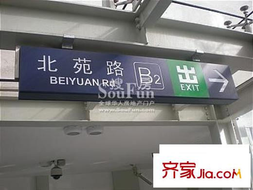 东方郁金香配套图周边外景图