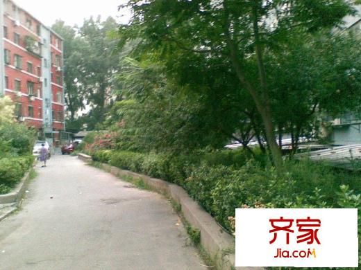 广渠门外南街外景图绿化