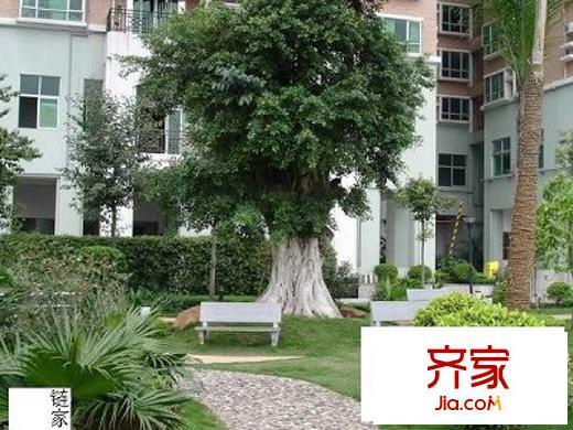 中兴家园外景图花园