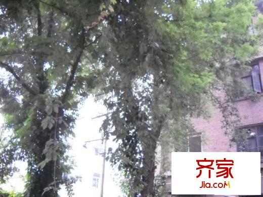 太平路44号院外景图楼盘图