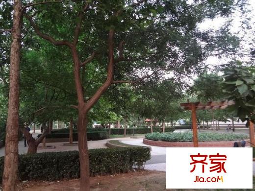 道家园小区外景图