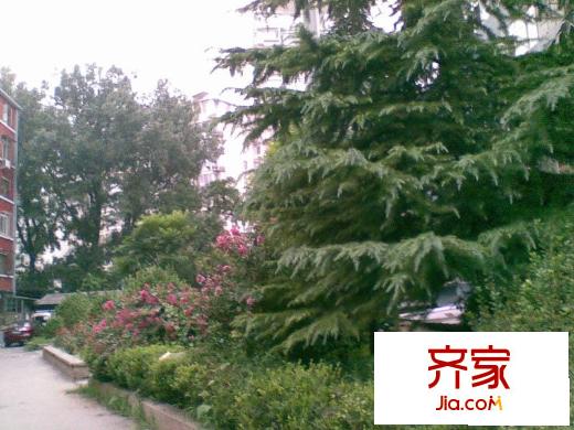 广渠门外南街外景图花园