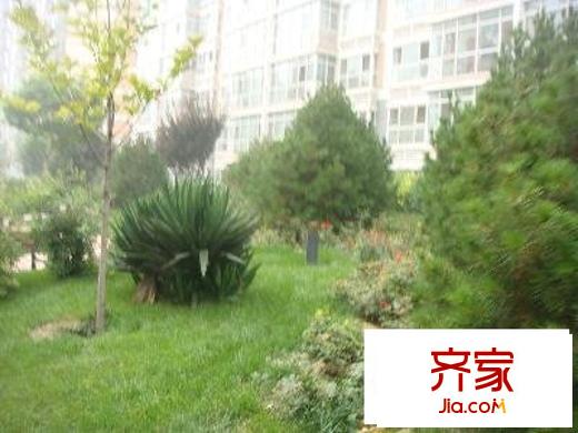 胜古馨园外景图小区绿化