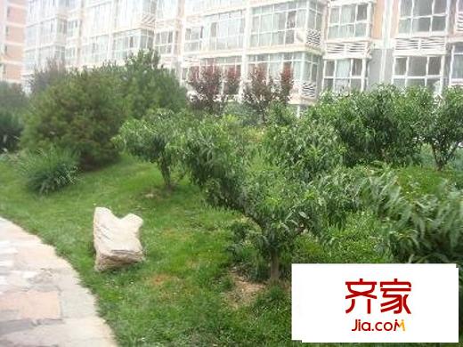 胜古馨园外景图小区绿化