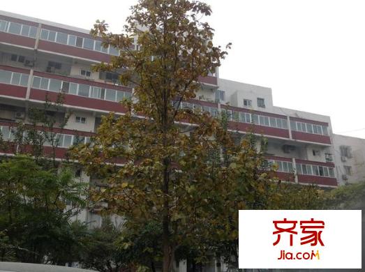 丝竹园外景图