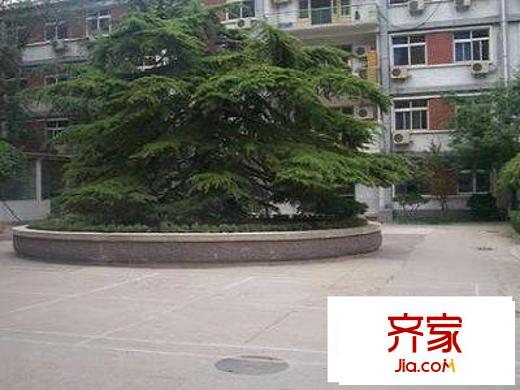 小关东街外景图绿化