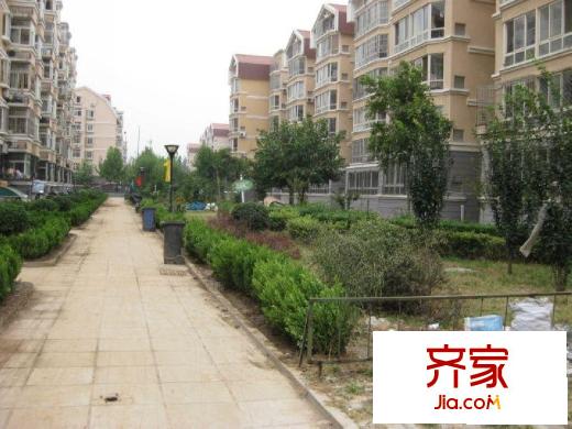 姚家园西里外景图街道