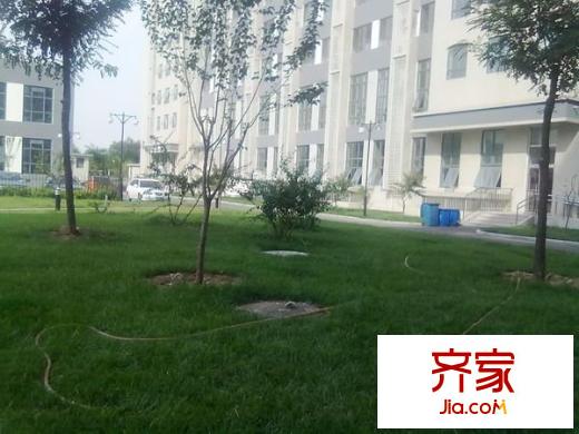 宝龙国际公寓外景图