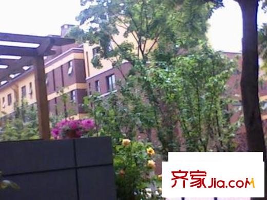 万科四季花城配套图花园图