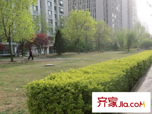 柏林爱乐配套图 周边配套