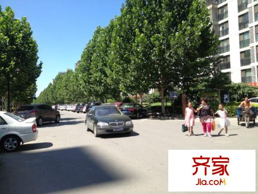 柏林爱乐外景图
