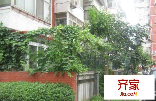 六里屯西里外景图