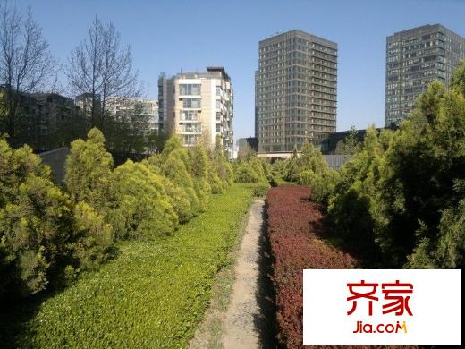 凤凰城一期外景图