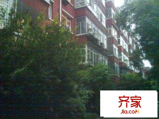 劲松七区外景图实景图