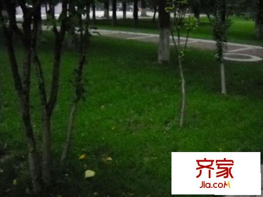 西三环北路105号院外景图绿化图