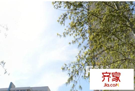 东方国际公寓外景图3