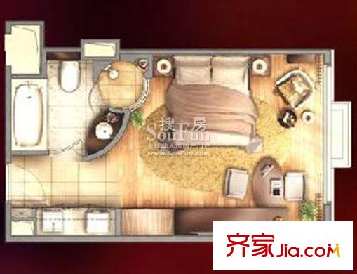 复地国际公寓户型图云上户型图 1室1卫