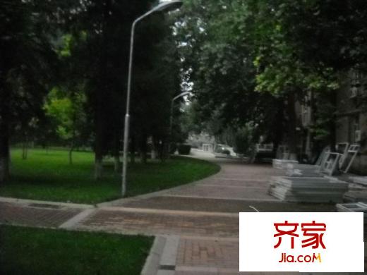 西三环北路105号院外景图绿化图