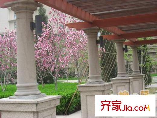 棕榈泉国际公寓配套图外景图