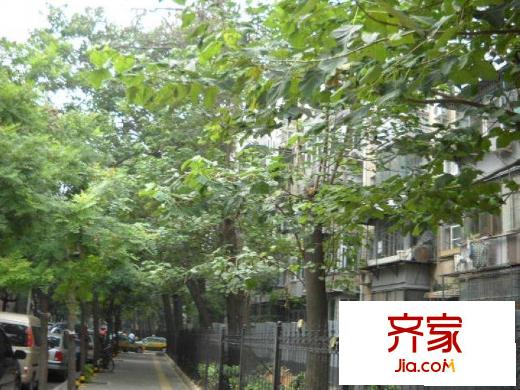 水碓子小区外景图楼盘图