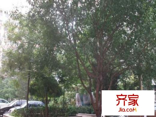 呼家楼北街外景图