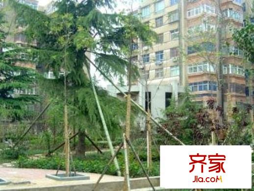 新海苑外景图