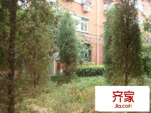 西三环北路82号院外景图实景图