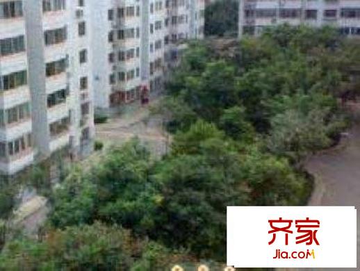 和祥苑外景图绿化