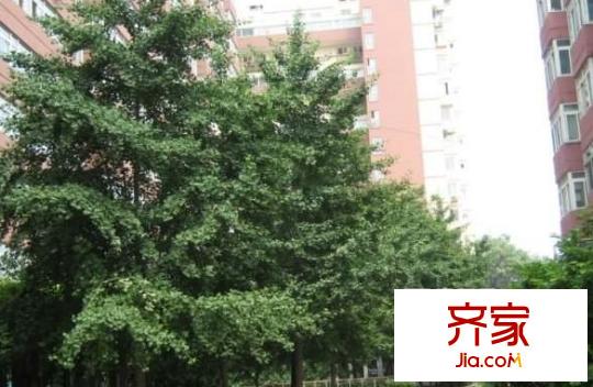 南沙沟小区外景图