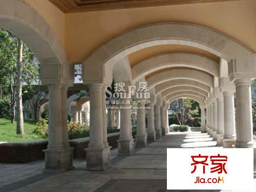 红山世家实景图园林2008-09