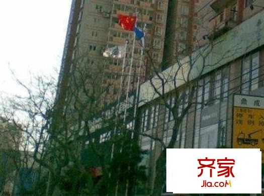 世纪宝鼎外景图绿化