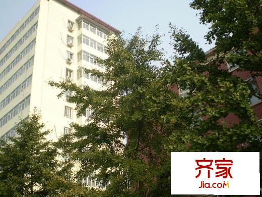 北蜂窝100号院外景图楼座图