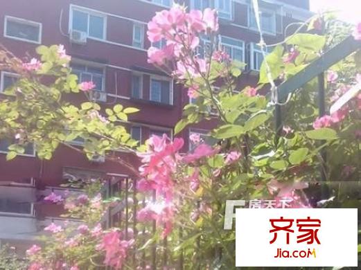 翠微路甲9号院外景图3