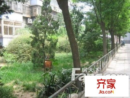 大慧寺21号院外景图