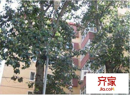 北洼路又一村外景图