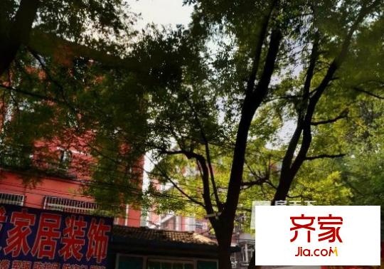 安德东里外景图