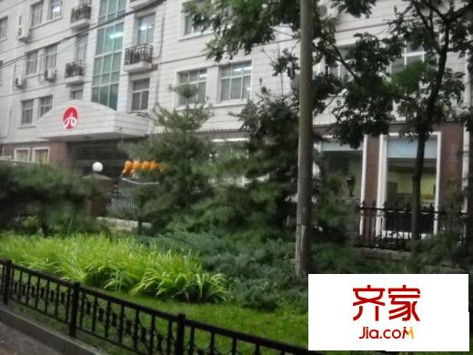 志新西路1号院外景图小区绿化