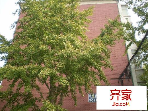 北蜂窝100号院外景图楼座图
