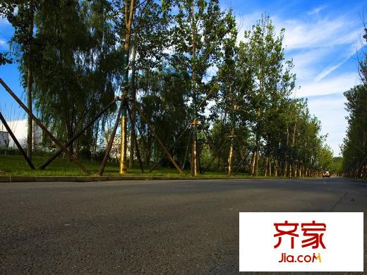 东君府MOMA外景图售楼处20130313