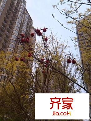 圣馨大地家园外景图